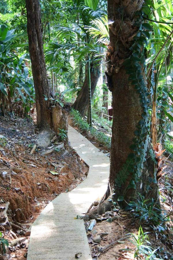 Nice View Bungalow Koh Chang Ranong Εξωτερικό φωτογραφία