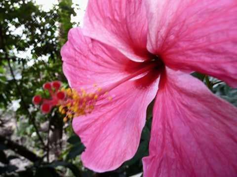 Nice View Bungalow Koh Chang Ranong Εξωτερικό φωτογραφία